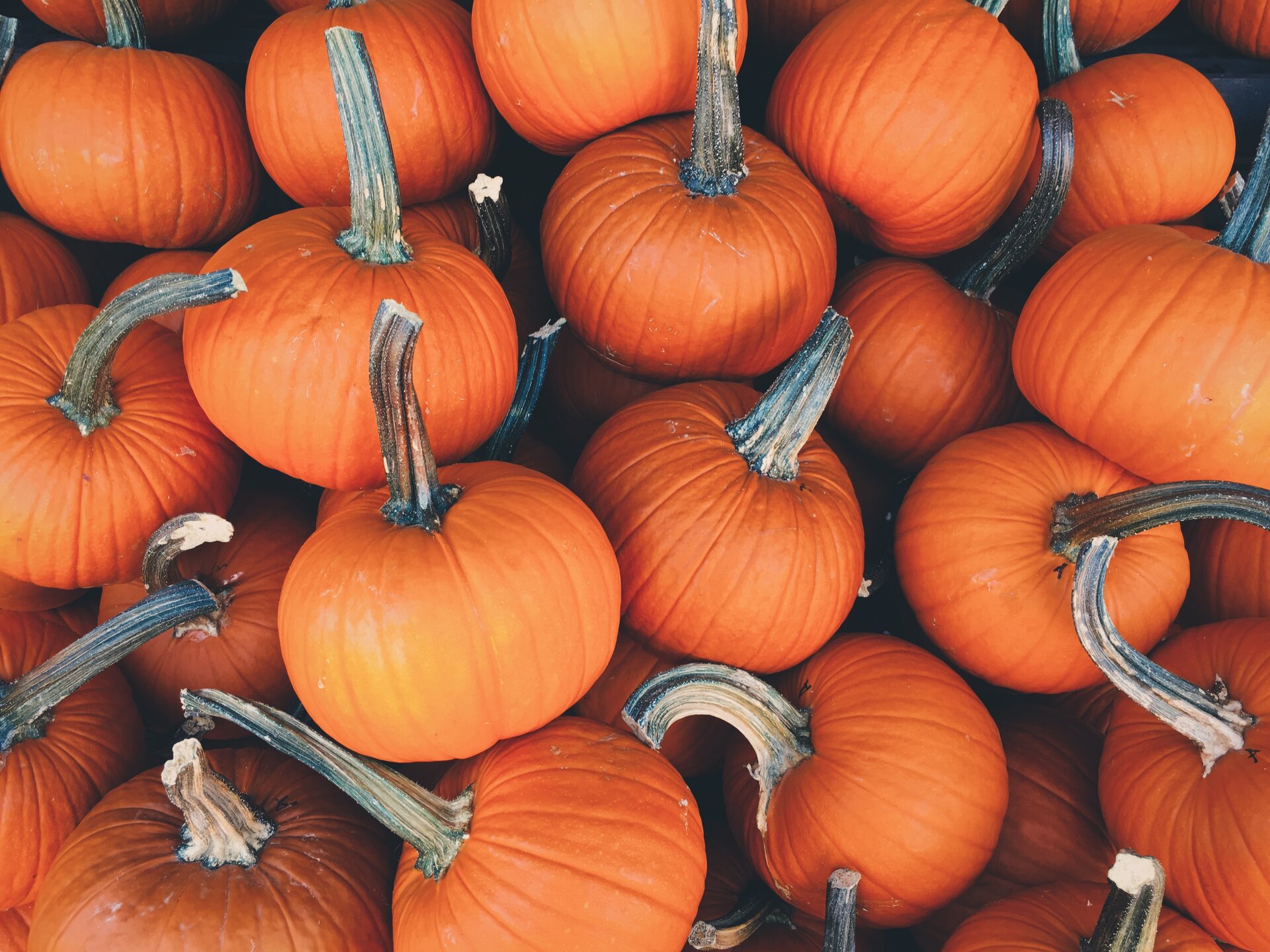 A stack of freshly harvested pumpkins, ready for fall festivities.